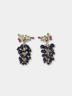 Roger Vivier Earrings Best