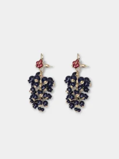 Roger Vivier Earrings Best