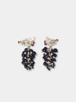 Roger Vivier Earrings Best