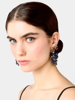 Roger Vivier Earrings Best