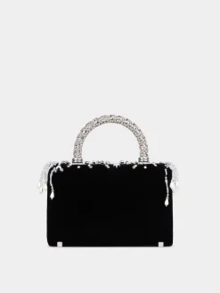 Roger Vivier Jewel Efflorescence Mini Bag in velvet Hot