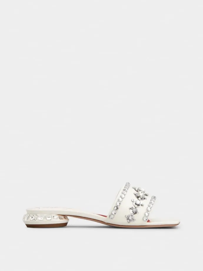 Roger Vivier Jewel Heel Mules in leather Best